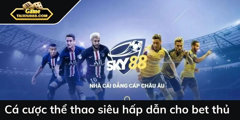 Cá cược thể thao siêu hấp dẫn cho bet thủ 